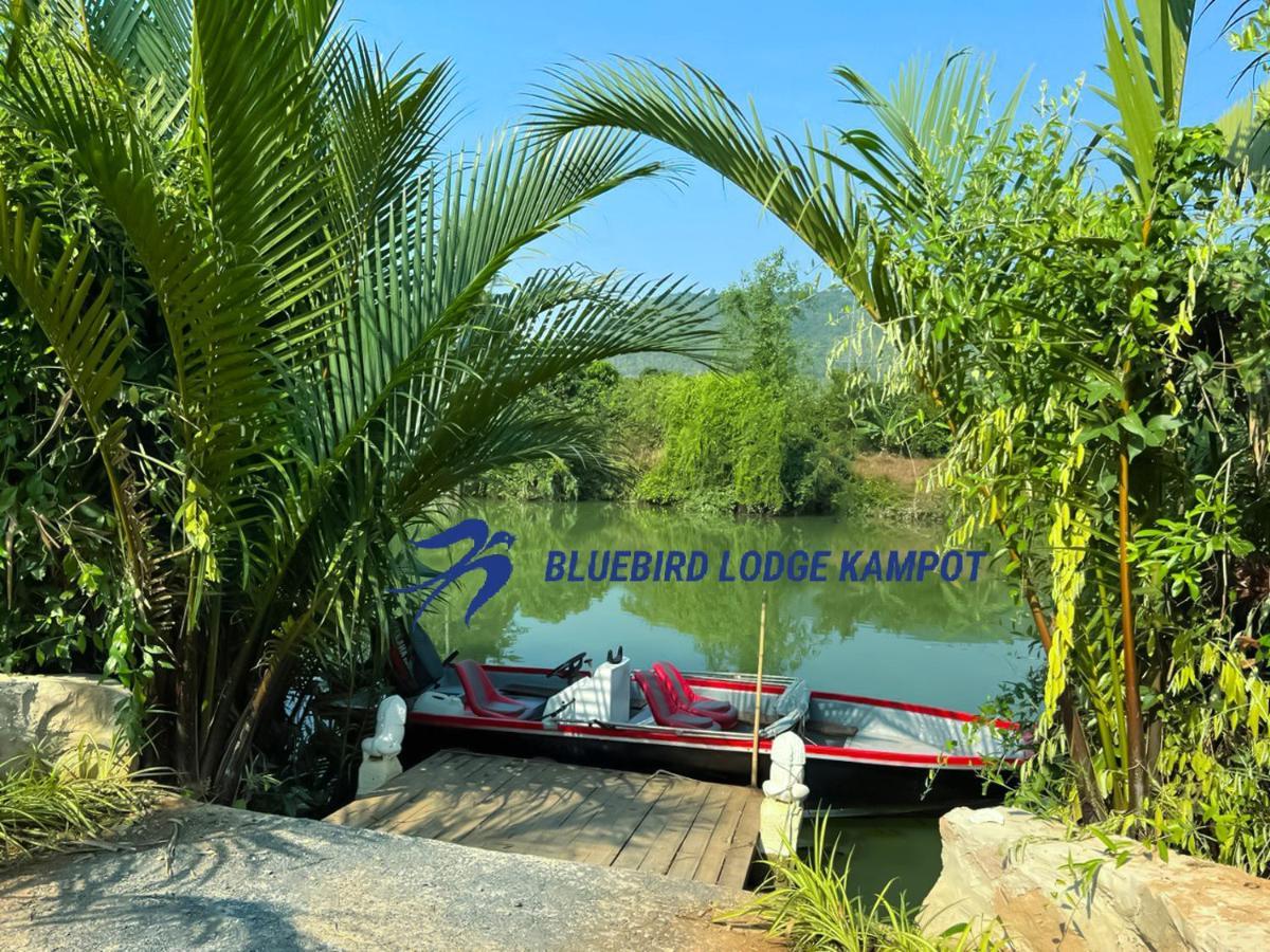 Bluebird Lodge Kampot Exterior foto