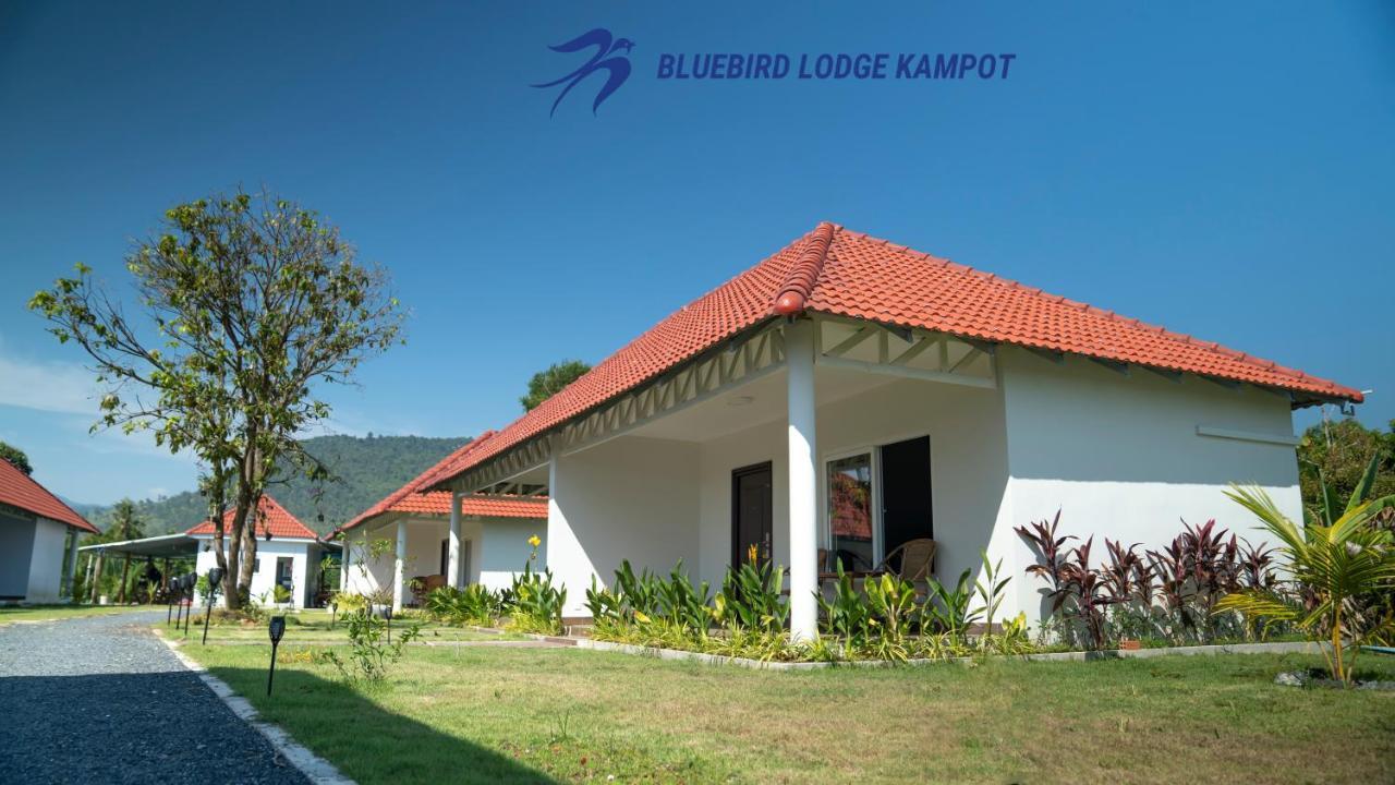 Bluebird Lodge Kampot Exterior foto