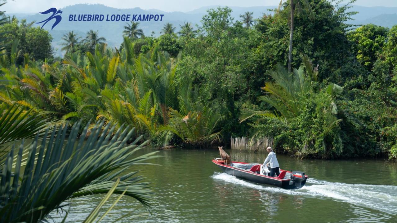 Bluebird Lodge Kampot Exterior foto