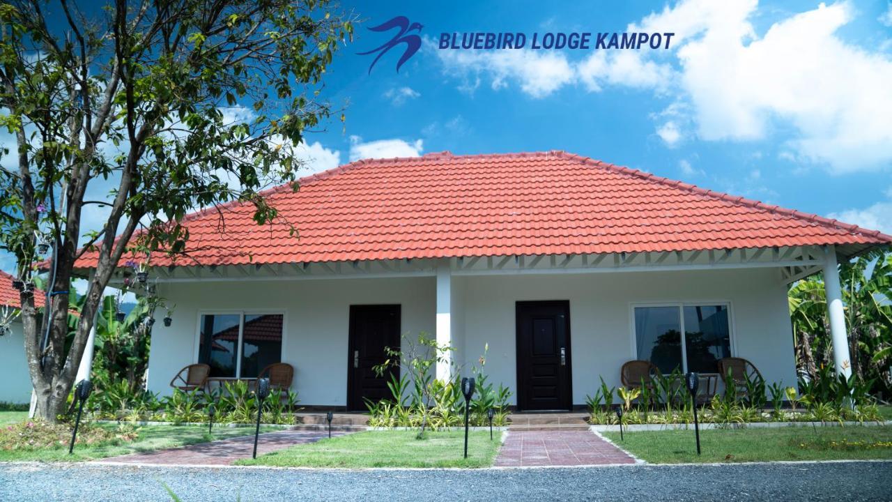 Bluebird Lodge Kampot Exterior foto